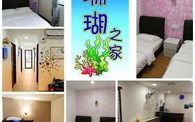 Coral Home 珊瑚之家